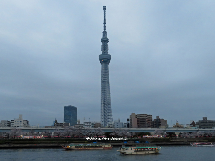 12.スカイツリーと花見