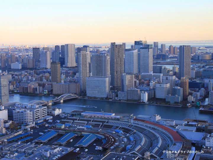 23.東京 筑地市場 