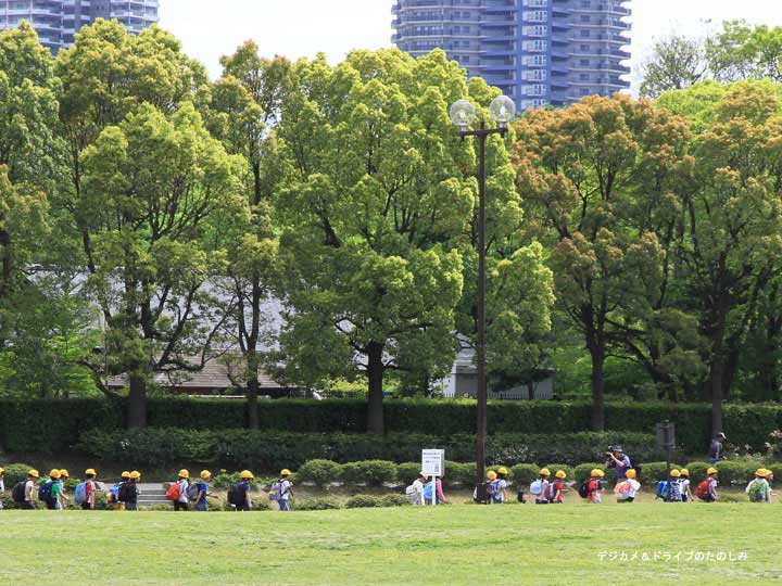 15.小学校 低学年 